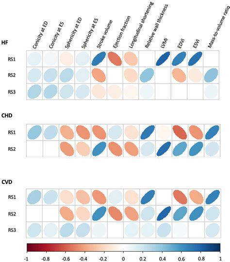 Image result for Correlation Matrix Visual