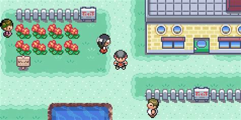 Pokemon Fire Red Farfetch'd に対する画像結果