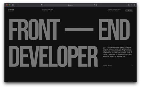 Afbeeldingsresultaten voor Front End Developer Portfolio Examples