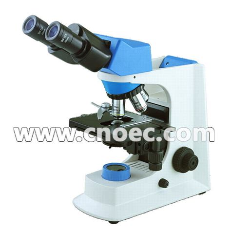 Image result for High Power Field Microscope
