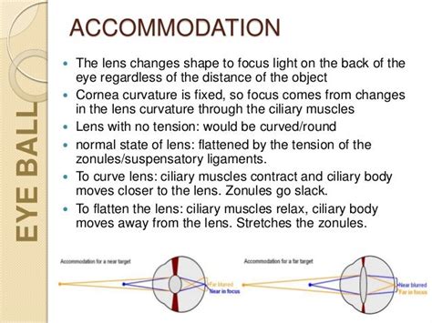 Image result for Accommodation Eye Test