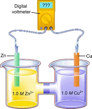 Toradh íomhá ar Finding Cell Potential