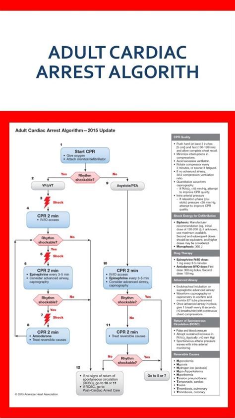 Afbeeldingsresultaten voor ACLS Pea Algorithm