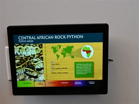 Image result for Jungle Python Zoo Signage