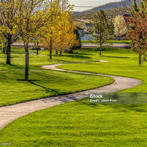 Image result for Square Background Pathway