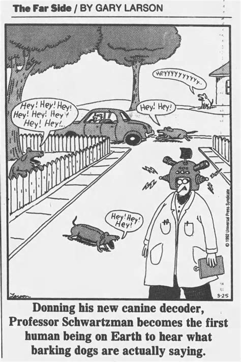 Afbeeldingsresultaten voor Far Side Python