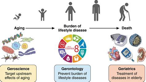 Aging Isues に対する画像結果
