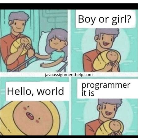 Image result for Meme On Go Programming Language