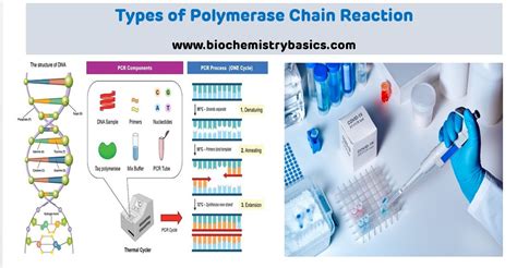 Image result for Types of PCR