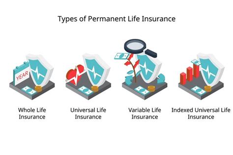 Image result for Types of Life Insurance Vector Png