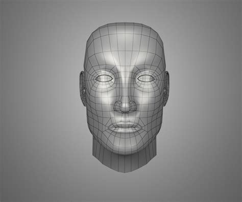 Image result for Base Face Model
