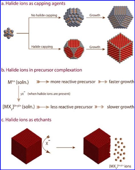 Image result for Halide Ions