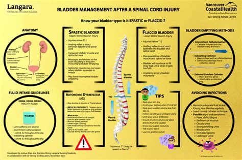 Toradh íomhá ar Neurogenic Areflexic Bladder