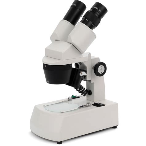 Image result for Stereo Microscope