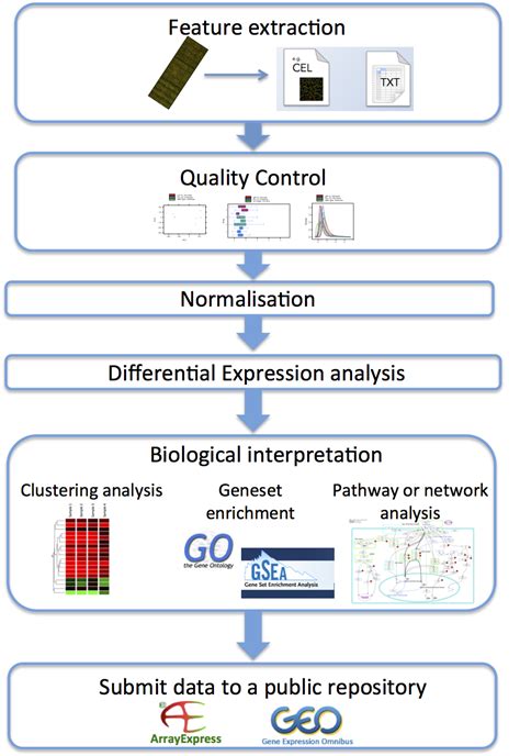 Analysis of microarray data | Functional genomics II