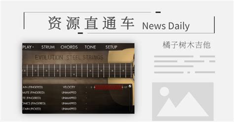 Image result for Evolution Steel Strings