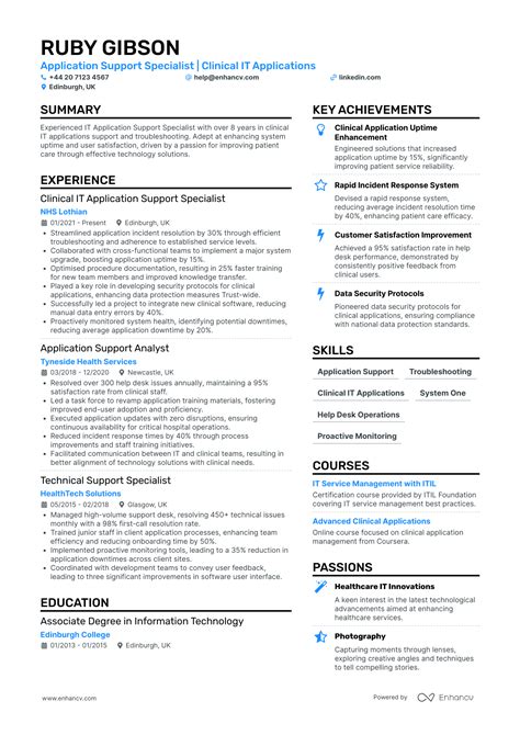 Image result for Example CV It