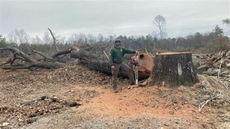 Image result for Site Clearing Work