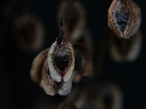 Definitie Internal Rate of Return に対する画像結果