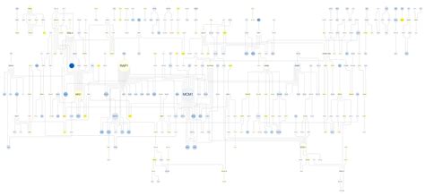 Graph Layout Algorithms に対する画像結果