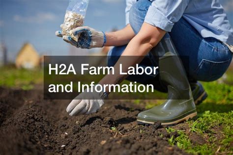 Image result for H2A Labor Program