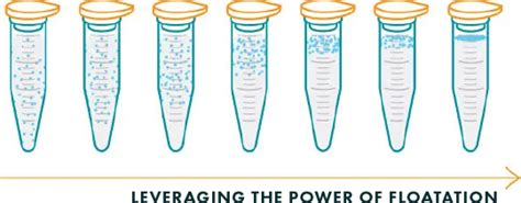 Image result for Flow Cytometry Sample Preparation