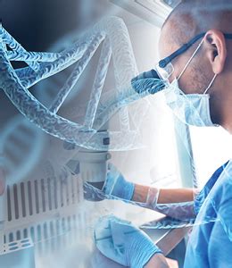 Afbeeldingsresultaten voor SFSU Computer Science RoadMap