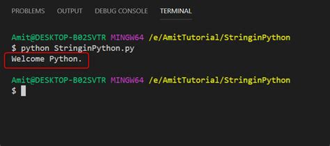 Python String Operation に対する画像結果