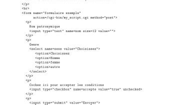 Image result for Exemple De Script