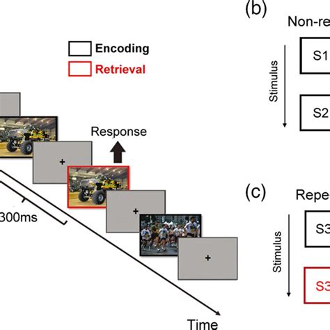 Image result for Working Memory Task