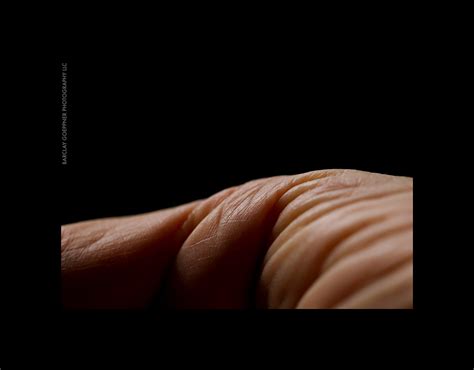 Aging Hand Model に対する画像結果