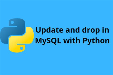 Image result for How to Insert and Update Data in Python