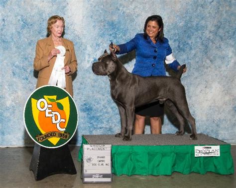 2023 MDX Aspec Rim に対する画像結果