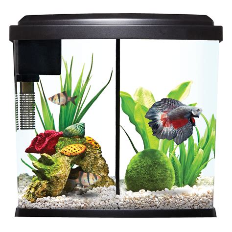 PetSmart 125 Gallon Aquarium に対する画像結果
