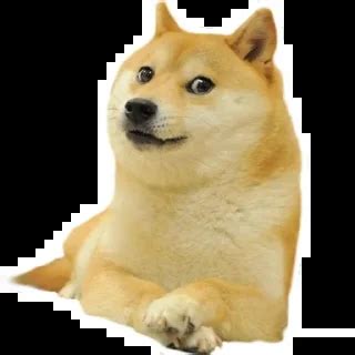 Image result for Telegram Sticker Doge