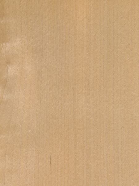 Image result for Buig Fineer