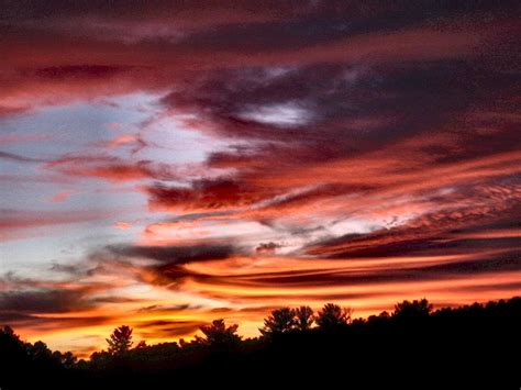 Image result for Fall From the Sky