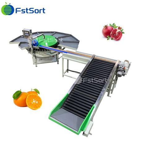 Image result for Sorting Pomegranate Machine