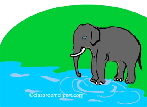 Afbeeldingsresultaten voor 3D Elephant in Water Drawing