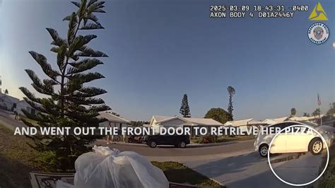 Image result for Guy Eating Pizza in Swamp with Alligator