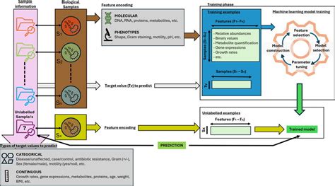Image result for Microbiology Workflow