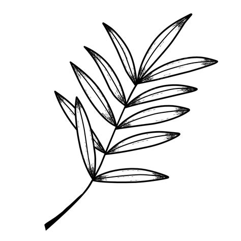 Image result for Simple Leaf Drawing Transparent Background