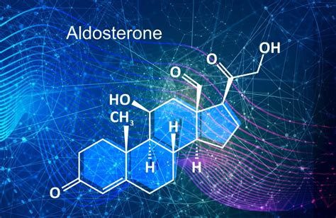 Afbeeldingsresultaten voor Aldosterone