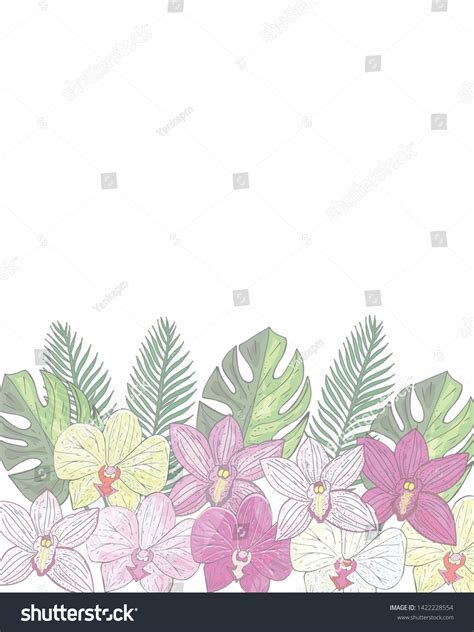 Image result for Transparent Paper Pattern