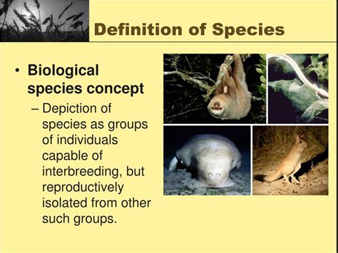 Image result for Principles of Classification Acronym