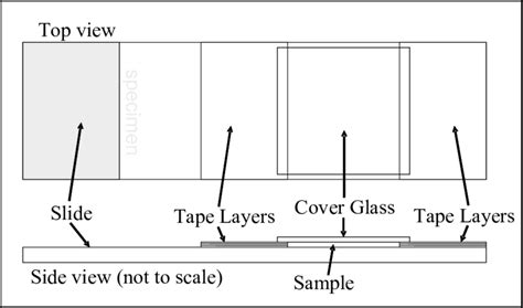Image result for Microscope Slide Blueprint