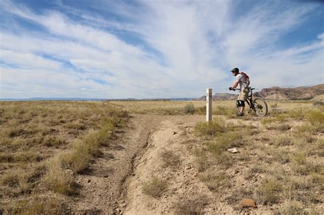 Image result for Edge Loop