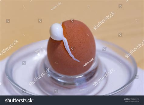Image result for Exploding Boiled Egg