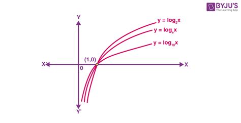Image result for Exponential Function Graph Moves