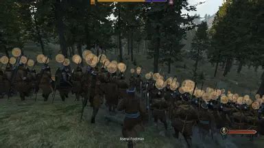 How to Install Freelancer Mod Bannerlord 2 に対する画像結果